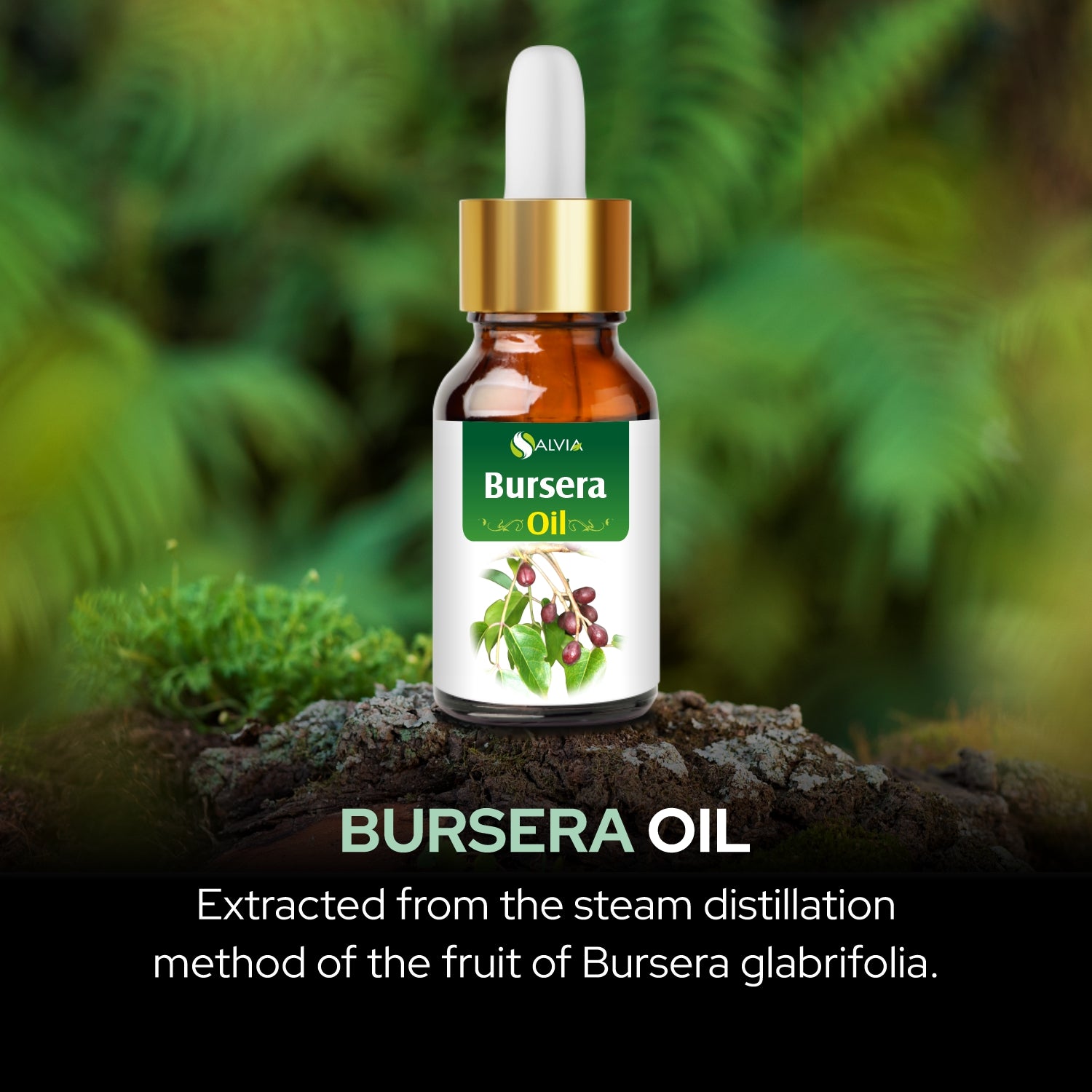 Salvia Natural Essential Oils,Dandruff,Greasy Oil,Anti Fungal,Anti-fungal Oil,Oil for Greasy Hair Bursera oil Salvia Natural Essential Oils,Dandruff,Greasy Oil,Anti Fungal,Anti-fungal Oil,Oil for Greasy Hair Bursera oil